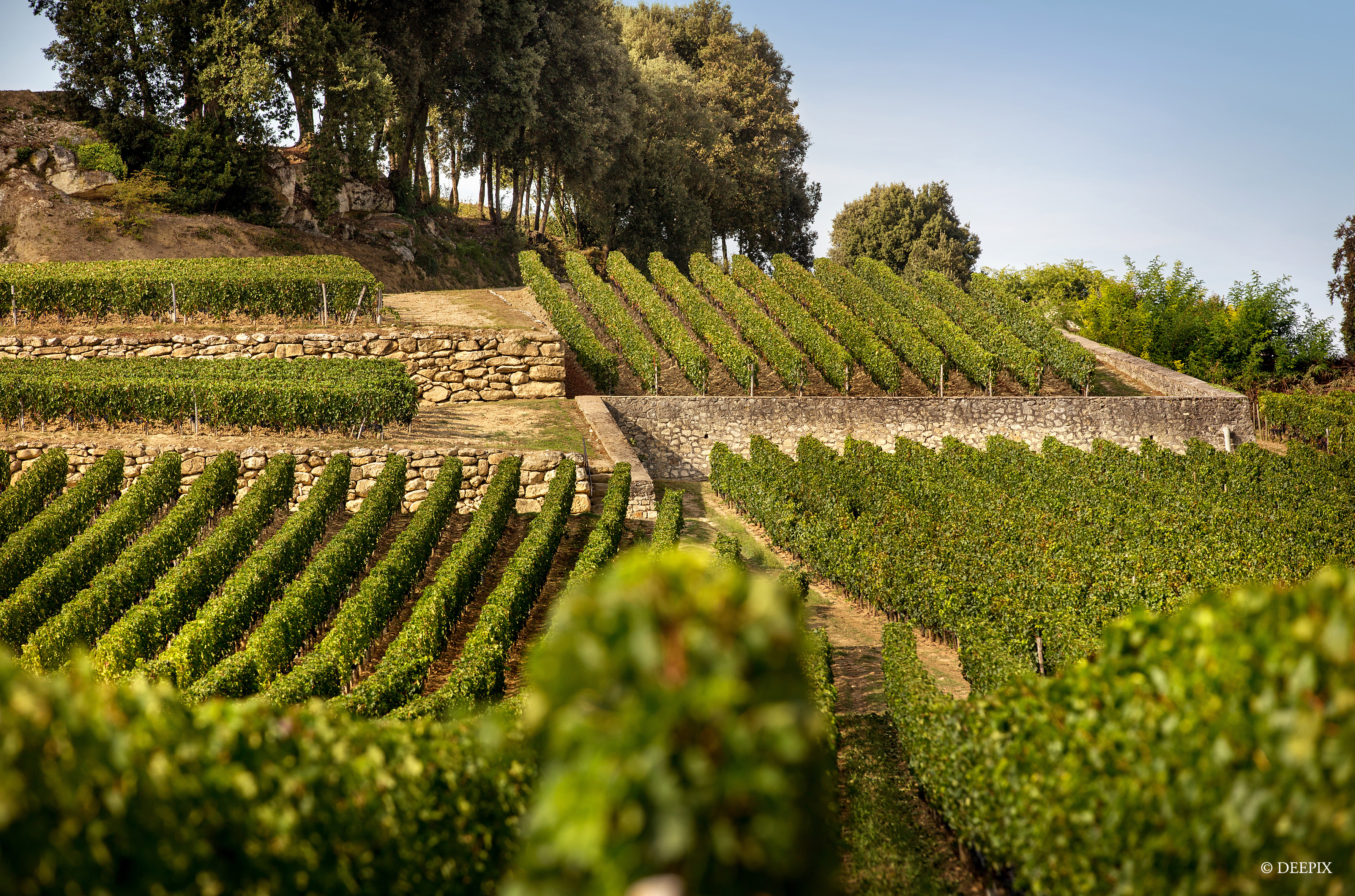 Belair-monange-saint-emilion-terrasses