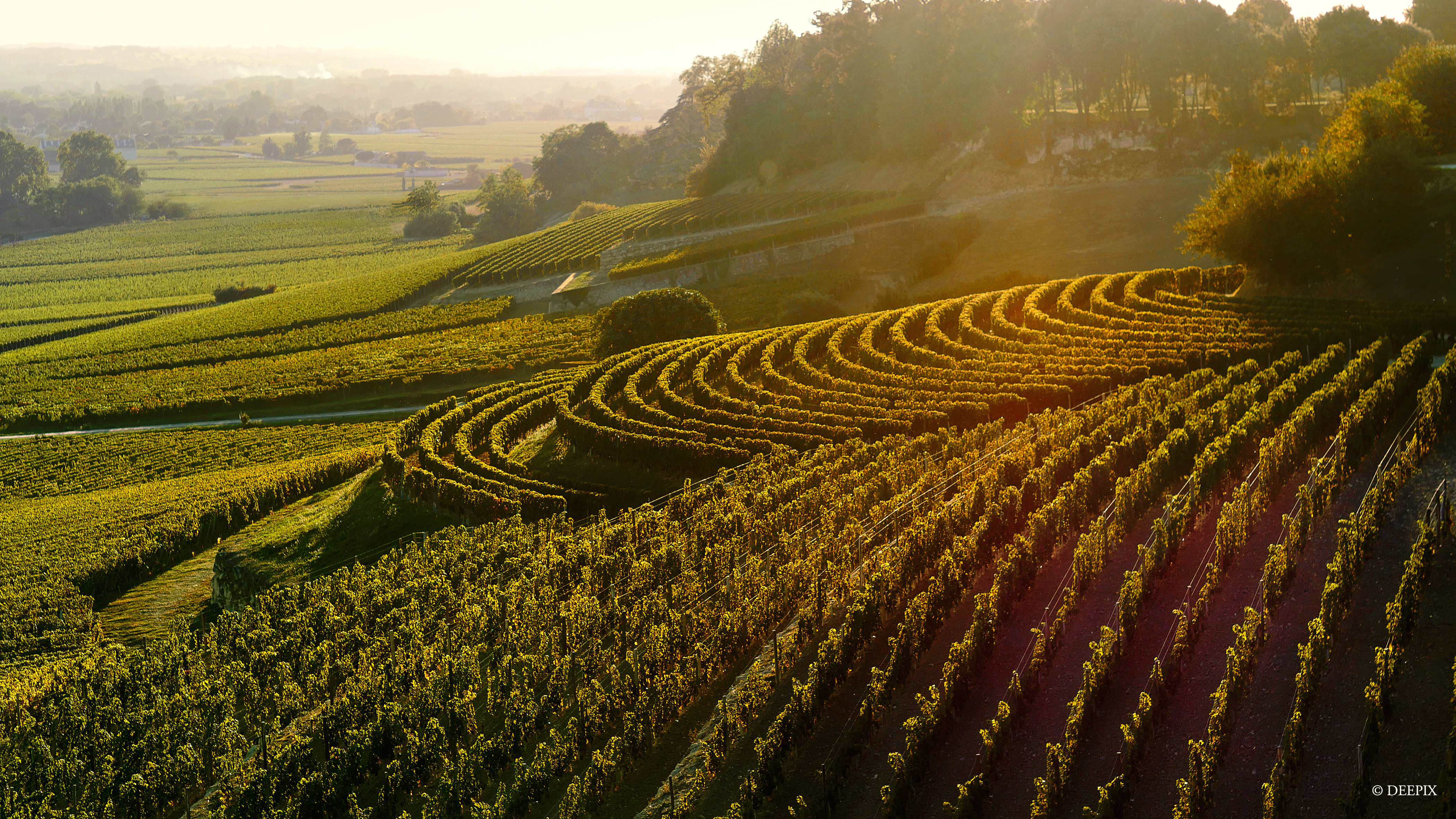 Belair-monange-saint-emilion-terrasses