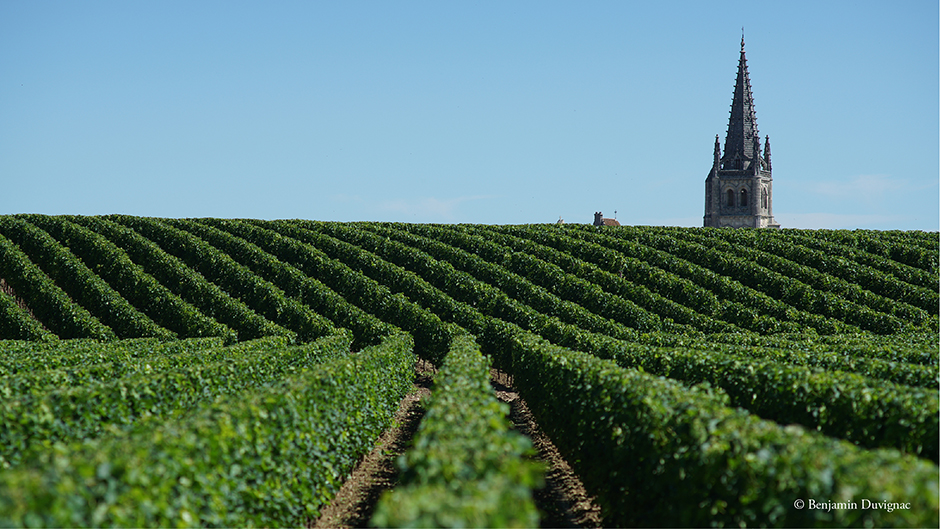 Chateau Bélair-Monange photo Plateau crédit image  Benjamin Duvignac 